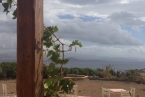 vine leaves | greek islands vacation | taos center | Paros | Greece